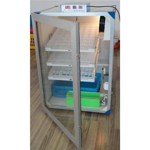 Incubatrice per uova di gallina